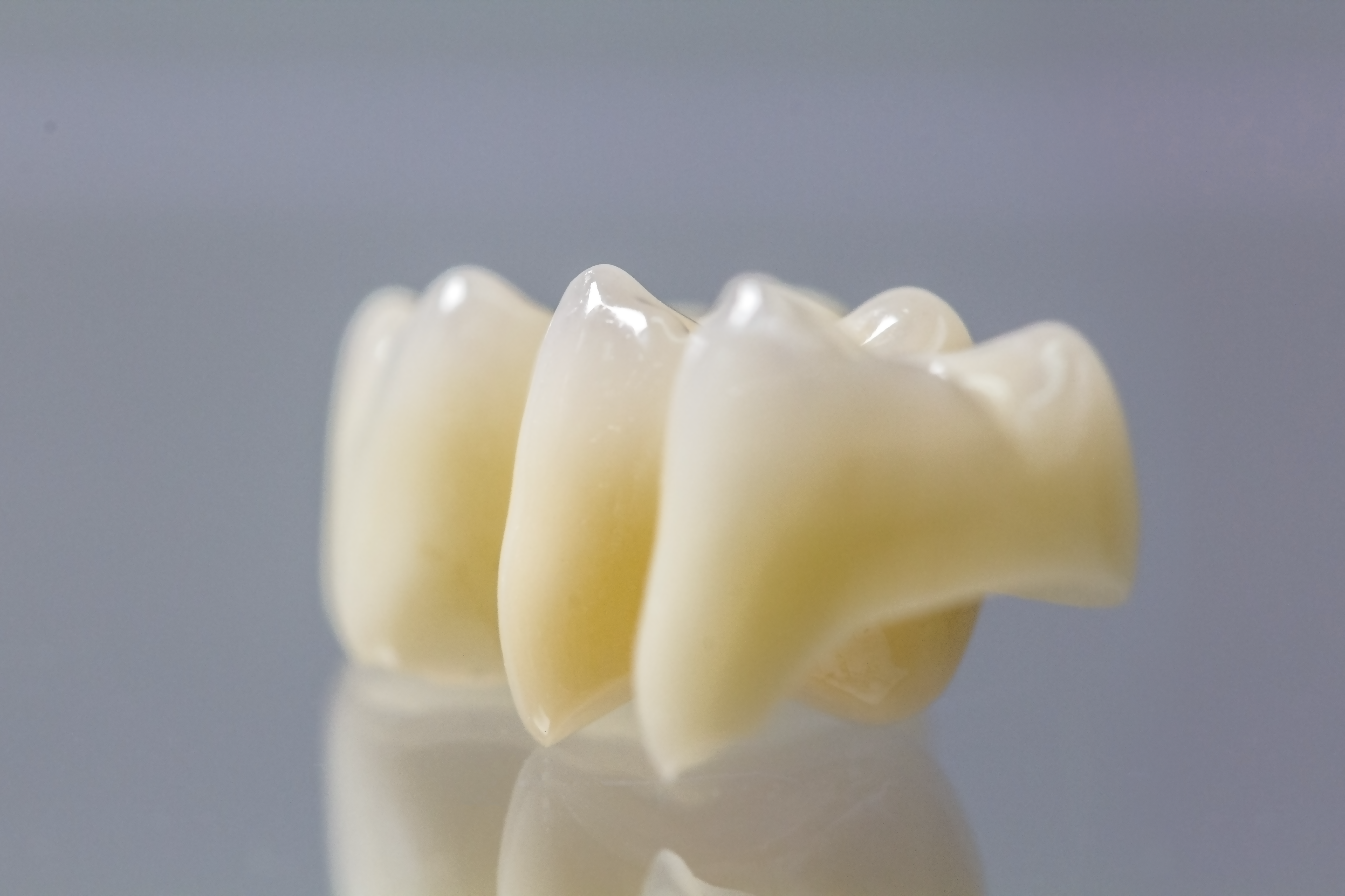 Enamel ZR™ Multi-5 98mm – I-Tanaka Dental Products Enamel ZR™ Multi-5 98mm – I-Tanaka Dental Products