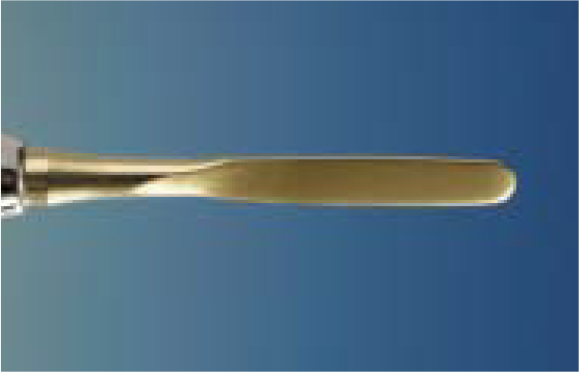 GoldenPro™ Titanium-Tipped Porcelain Instrument #2