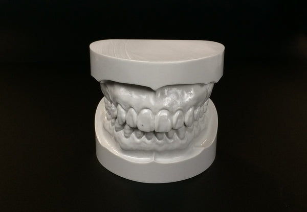 Big Teeth and Gnatho Models Bundle